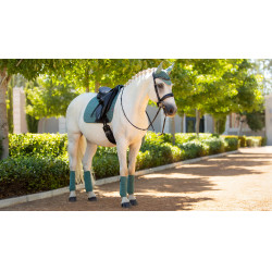 Bandes de polo LeMieux Luxury Sage Bleu