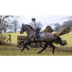 Tapis LeMieux Self-Cool Close Contact Square Gris Tapis LeMieux Self-Cool Close Contact Square Gris