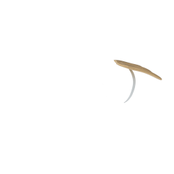 Ailes pour Mini Poney LeMieux Doré