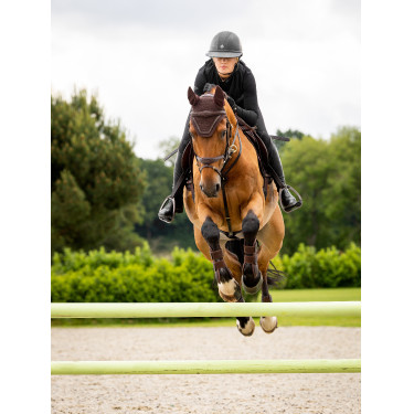 Vliegennetje Crystal LeMieux Bruin