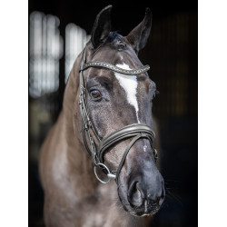 Bridon de dressage LeMieux Arika Noir / argent Bridon de dressage LeMieux Arika Noir / argent