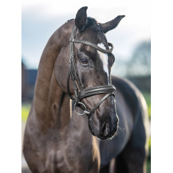Bridon de dressage LeMieux Arika Noir / argent Bridon de dressage LeMieux Arika Noir / argent