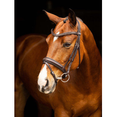 Bridon de dressage LeMieux Arika Marron / argent