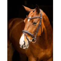 LeMieux Arika dressuur hoofdstel Zwart / zilver LeMieux Arika dressuur hoofdstel Zwart / zilver