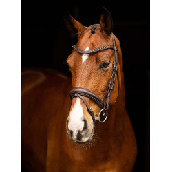 Bridon de dressage LeMieux Arika Marron / argent