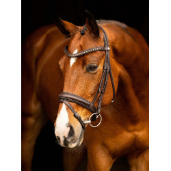 LeMieux Arika dressuur hoofdstel Bruin / zilver