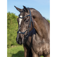 Bridon LeMieux Arika Duitse neusriem Bruin / zilver Bridon LeMieux Arika Duitse neusriem Bruin / zilver