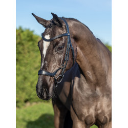 Bridon LeMieux Arika Duitse neusriem Zwart / zilver