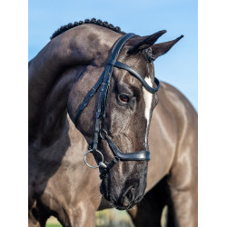 Bridon LeMieux Arika Duitse neusriem Zwart / zilver