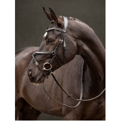 Bridon LeMieux Arika muserolle croisée Noir / argent Bridon LeMieux Arika muserolle croisée Noir / argent