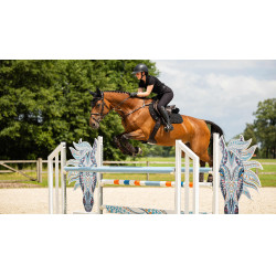 Tapis LeMieux Crystal Suede Close Contact Noir