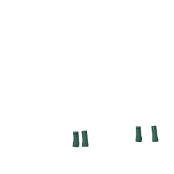 Polo bandages Loire LeMieux Spargroen Polo bandages Loire LeMieux Spargroen
