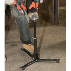 TREPIED DE MARECHALERIE