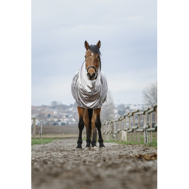 Anti-eczeem hemd Riding World Anti-eczeem hemd Riding World