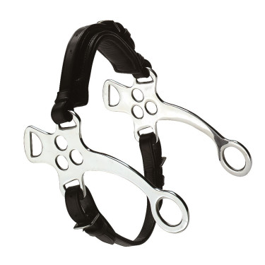 Branches de Hackamore Feeling