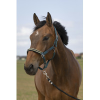 Halster Equithème Nylon Chevron Donkergroen