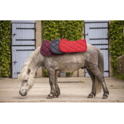 Tapis Paddock Sports Prems Gris