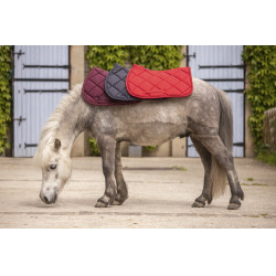 Tapis Paddock Sports Prems Gris