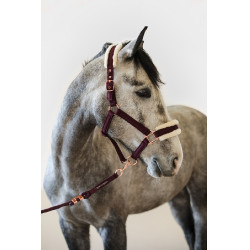 Licol et Longe Harcour Holly Violine Violet Licol et Longe Harcour Holly Violine Violet