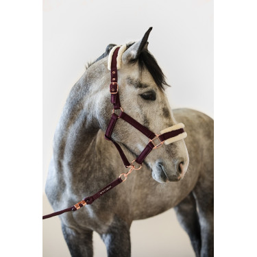 Licol et Longe Harcour Holly Violine Violet Licol et Longe Harcour Holly Violine Violet