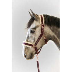 Licol et Longe Harcour Holly Violine Violet Licol et Longe Harcour Holly Violine Violet