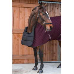 Protège poitrail Harcour Gala Noir