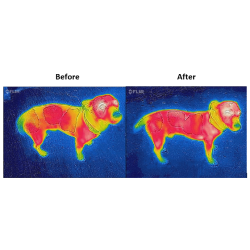 Couverture pour chien Bucas Therapy 150g Couverture pour chien Bucas Therapy 150g