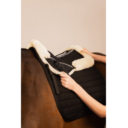 Amortisseur de dos Harleigh Horze Noir