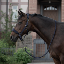 Licol matelassé Graz Horze Bleu foncé peacoat Licol matelassé Graz Horze Bleu foncé peacoat