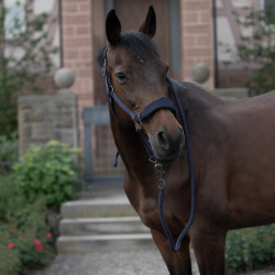 Licol matelassé Graz Horze Bleu foncé peacoat Licol matelassé Graz Horze Bleu foncé peacoat