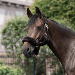 Licol Tremblant Horze mouton véritable Marron