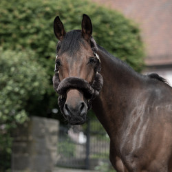 Licol Tremblant Horze mouton véritable Marron