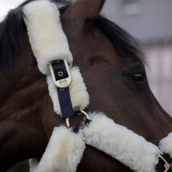 Licol Tremblant Horze mouton véritable Bleu marine foncé