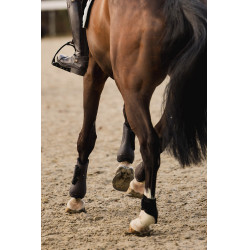 Guêtres et protège-boulets Horze Armour Airflow Marron foncé