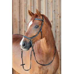 Bridon combiné Orlando Horze bitless en cuir Noir Bridon combiné Orlando Horze bitless en cuir Noir
