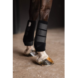 Protège tendons ProSoft Horze Noir