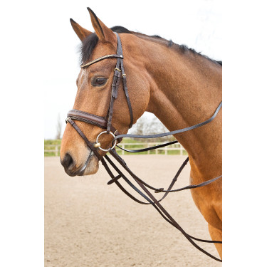 Rênes cuir type allemandes Horze Sparta Marron