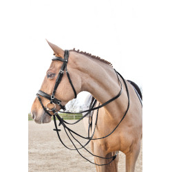 Lederen/nylon teugels Duits type Horze Sparta Zwart Lederen/nylon teugels Duits type Horze Sparta Zwart