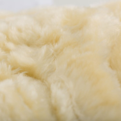 Gesloten peesbeschermers Horze Signature Zwart Gesloten peesbeschermers Horze Signature Zwart