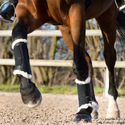 Gesloten peesbeschermers Horze Signature Zwart