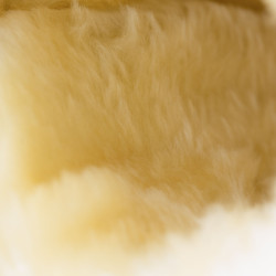 Gesloten peesbeschermers Horze Signature Zwart