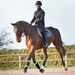 Guêtres fermées Horze Signature Noir Guêtres fermées Horze Signature Noir