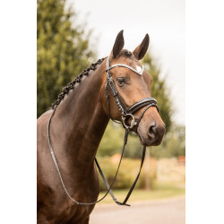 Bridon anatomique Grayson Horze à strass Noir / noir