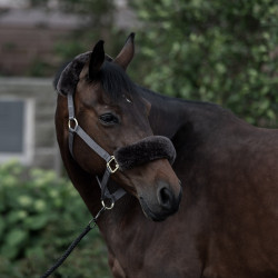 Licol Laurier Horze mouton véritable Marron