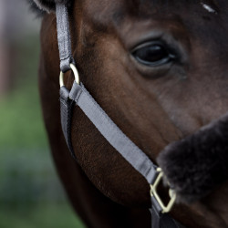 Licol Laurier Horze mouton véritable Marron