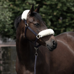 Licol Laurier Horze mouton véritable Bleu marine foncé Licol Laurier Horze mouton véritable Bleu marine foncé