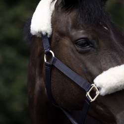 Licol Laurier Horze mouton véritable Bleu marine foncé Licol Laurier Horze mouton véritable Bleu marine foncé