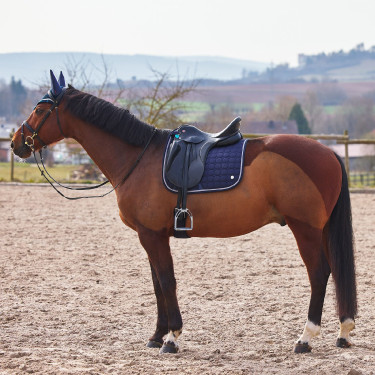 Tapis de selle dressage Zurich Tapis de selle mixte Zurich B Vertigo Tapis de selle dressage Zurich Tapis de selle mixte Zurich B Vertigo