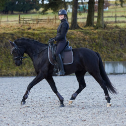 Tapis de selle de dressage Adepto Horze Marron foncé Tapis de selle de dressage Adepto Horze Marron foncé