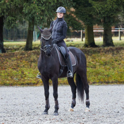 Tapis de selle de dressage Adepto Horze Marron foncé Tapis de selle de dressage Adepto Horze Marron foncé